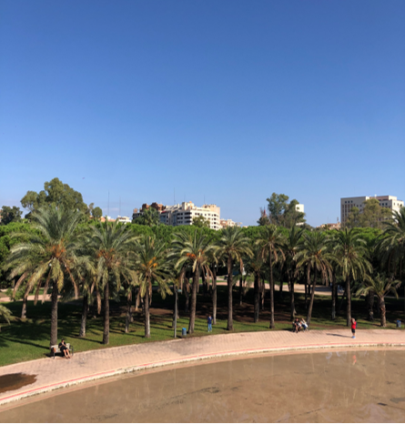 Pourquoi faire le choix d'étudier en Espagne ?
València, Túria (Vue depuis le pont de la mer)