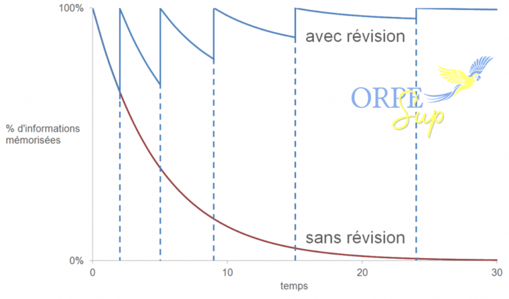 La courbe de l'oubli montre l'importance de réviser ce qu'on a appris à intervalles réguliers, et par extension, la nécessité pour un étudiant d'être bien organisé dans son travail