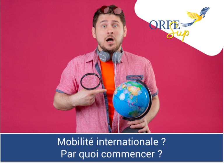 Les parcours internationaux séduisent toujours plus les étudiants