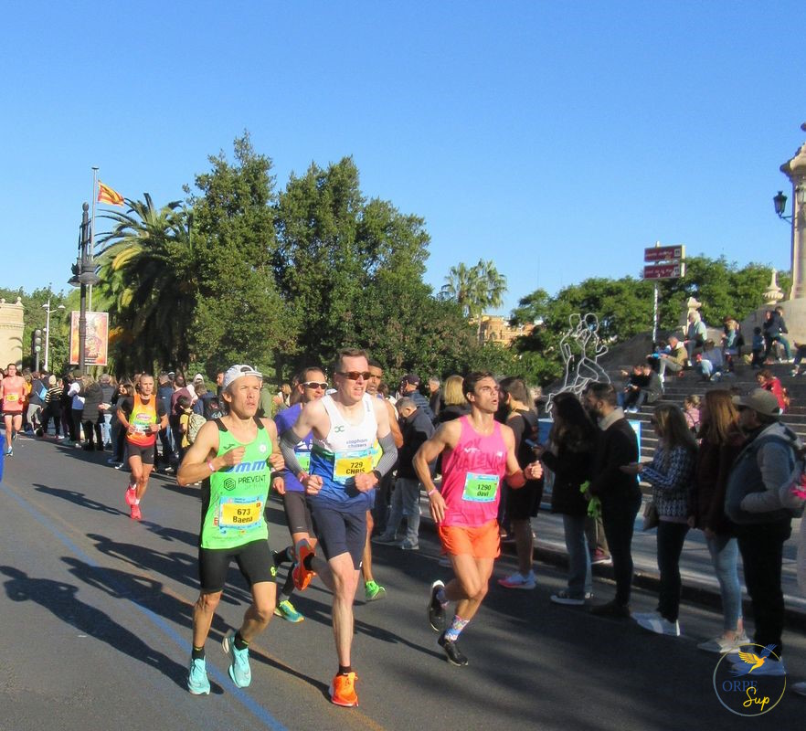 Le Marathon de València – Sport et études, c’est possible