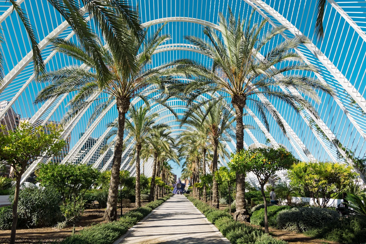 Étudier à València - L'Umbracle