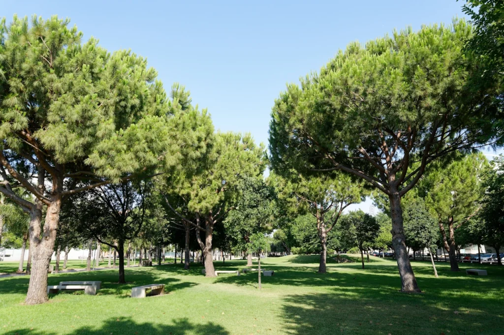 UPV (Universidad Politecnica de Valencia)