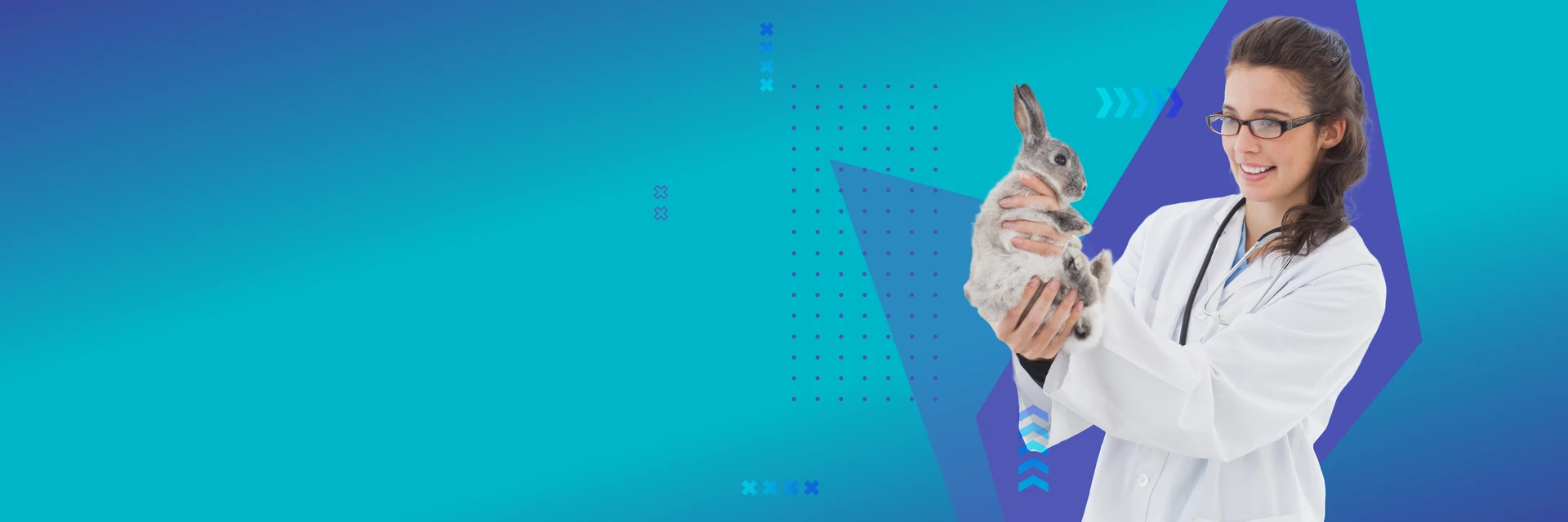 Études Vétérinaires à l'étranger