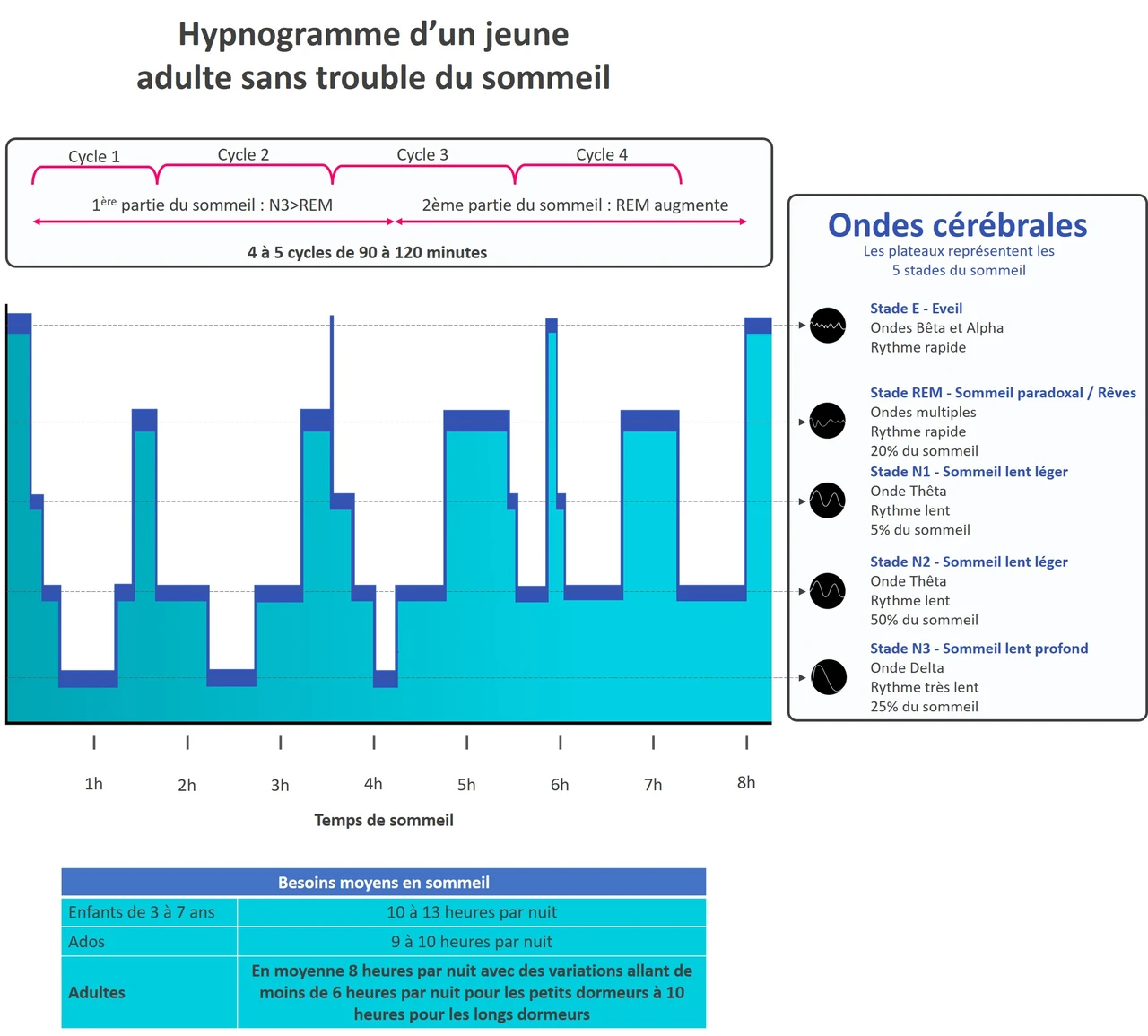 Hypnogramme Normal