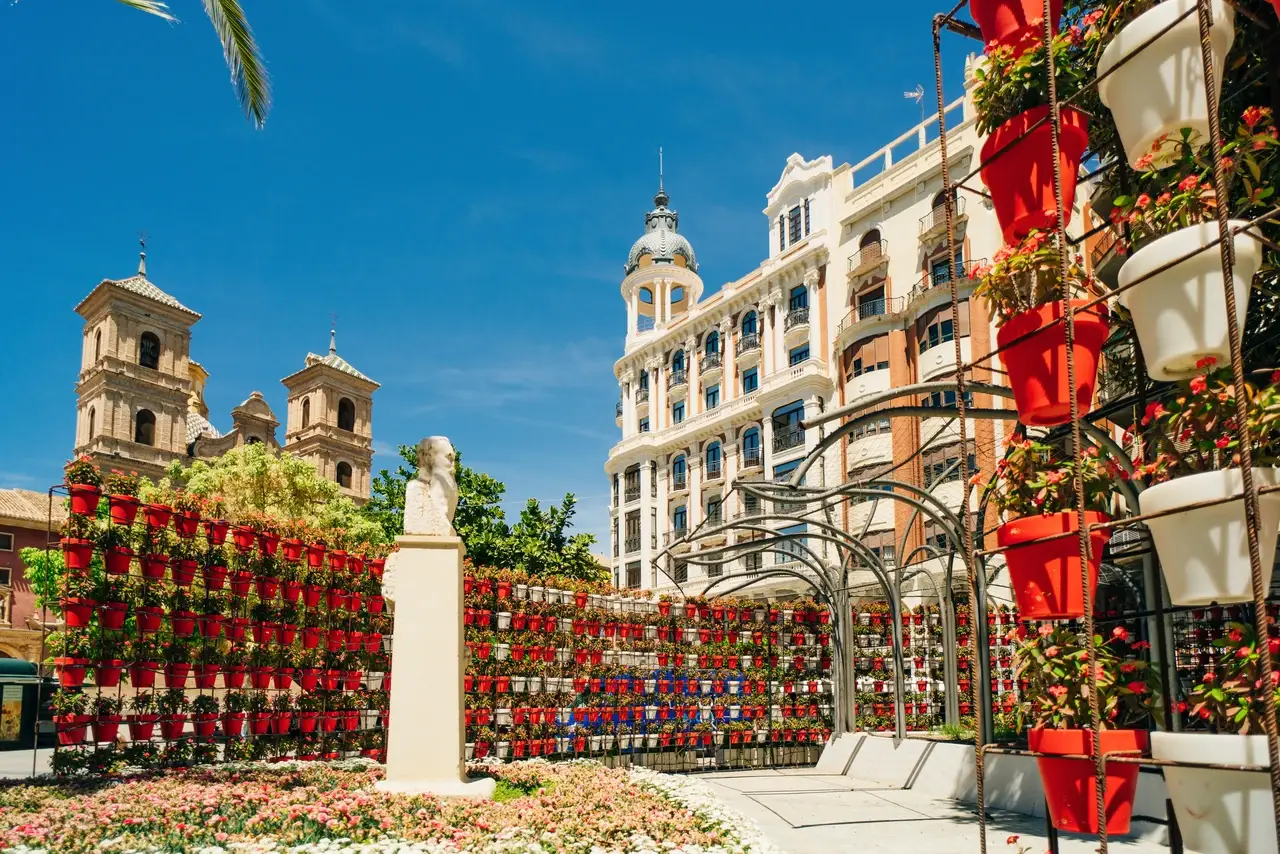 La Plaza de las Flores - Murcia
