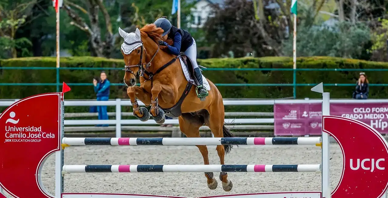 UCJC - Les installations hippiques