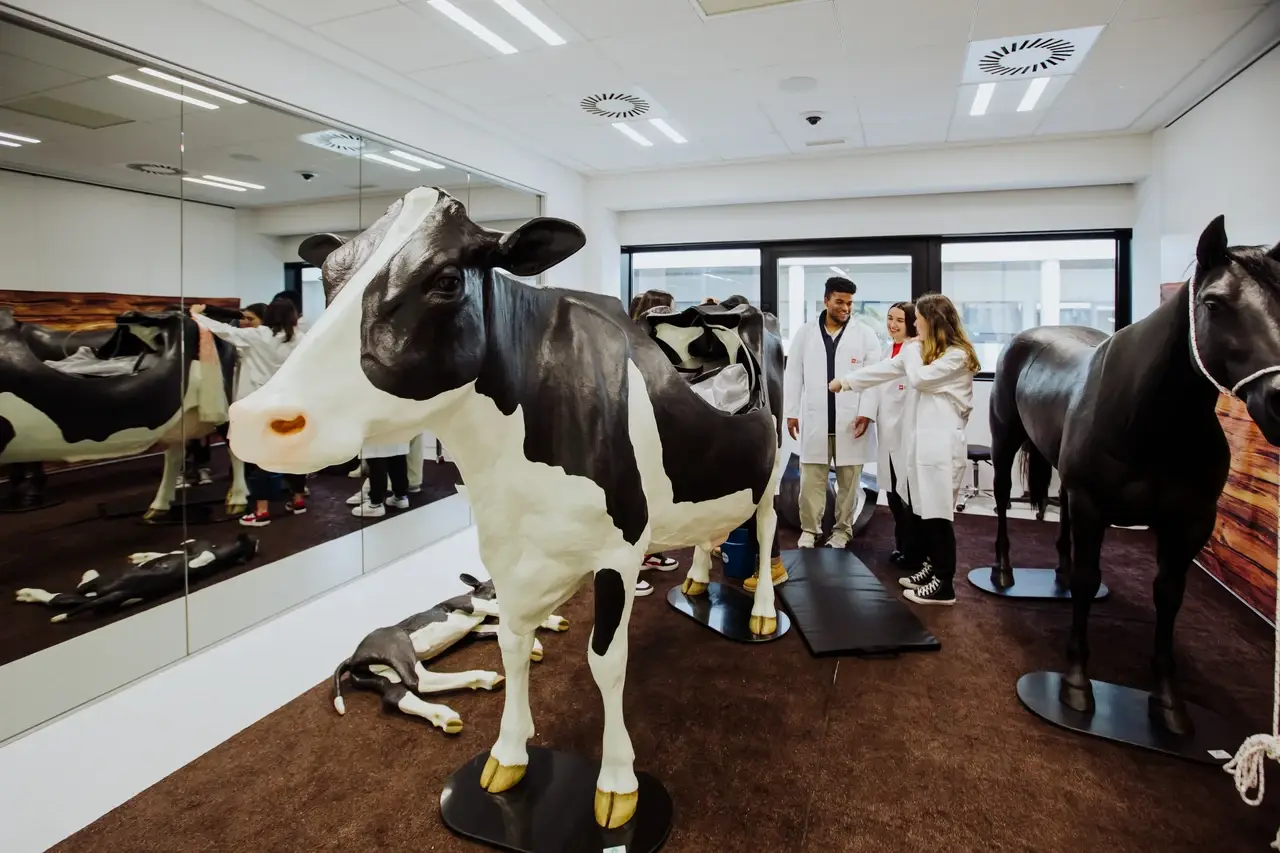 Universidad Europea Madrid - Grado en médecine vétérinaire