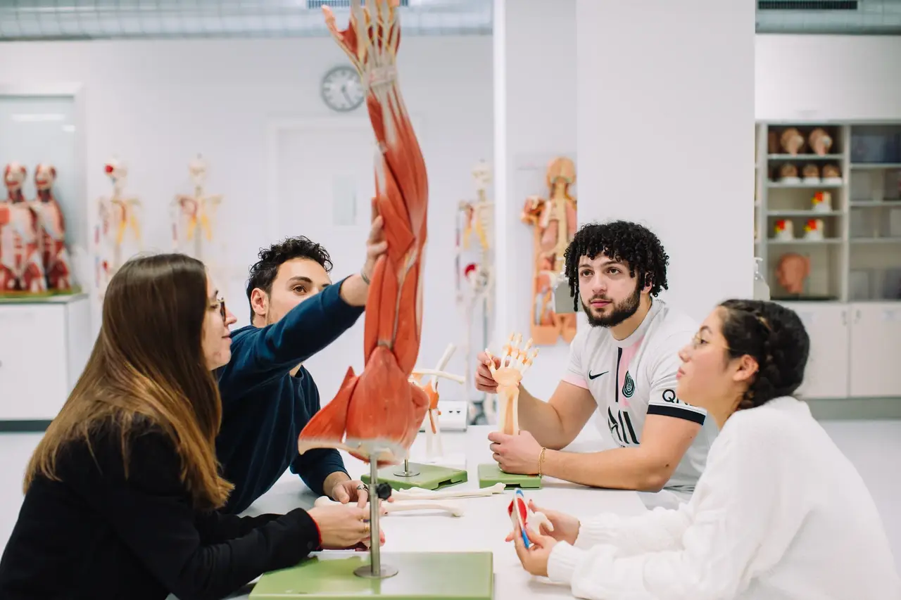 Universidad Europea - Grados en kinésithérapie et en médecine